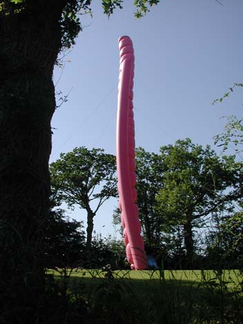 colonne_rose_179
